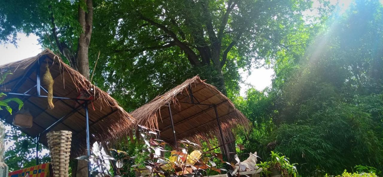 เฮือนน้ำน่าน House By The River Nan Homestay *